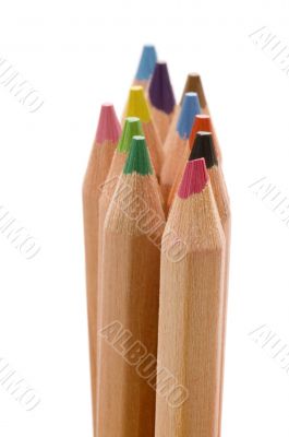 colored pencil closeup
