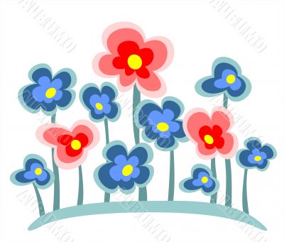 blue and pink flowers