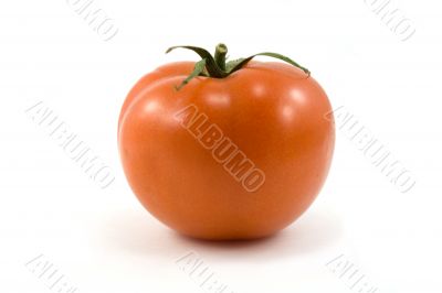 tomato isolated