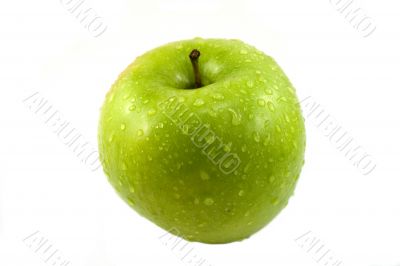 wet juicy apple