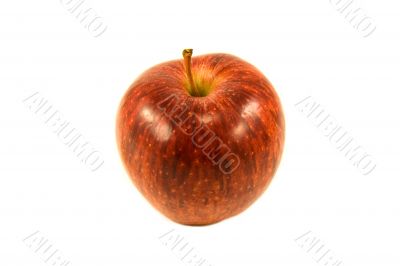 red apple
