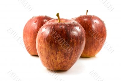 three red apples
