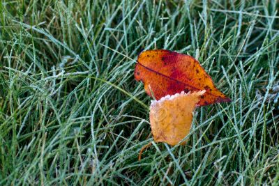 Late autumn