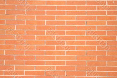 the wall