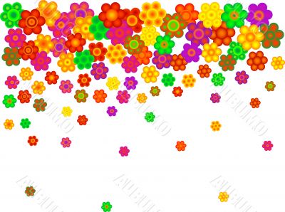Bloom background
