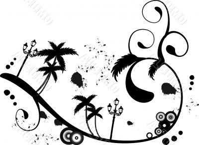 Palm beach