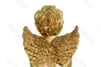 Angel Wings