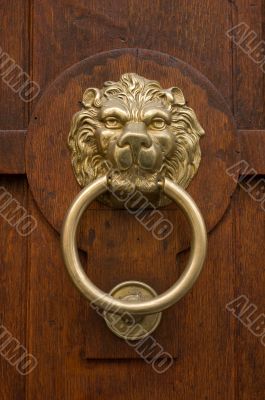 bronze door knocker