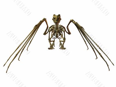Skeleton Dragon