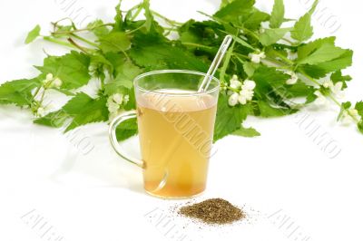 Tea of stinging nettles