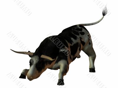 3D Bull