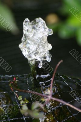 Small Garden Fountain