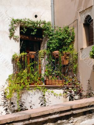 Spanish glimpse of Girona