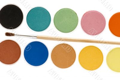 water-colour close-up