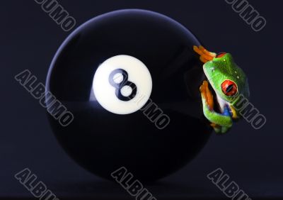 Crazy frog