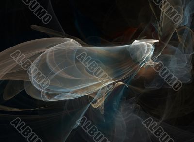 Night butterfly