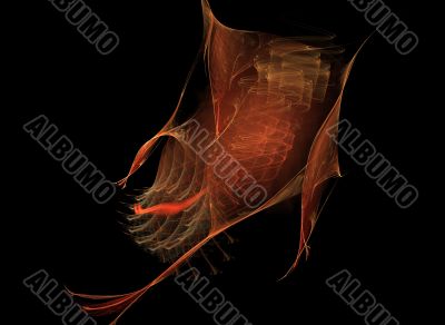 Small fish