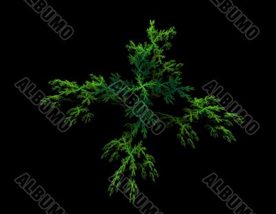 Green plant