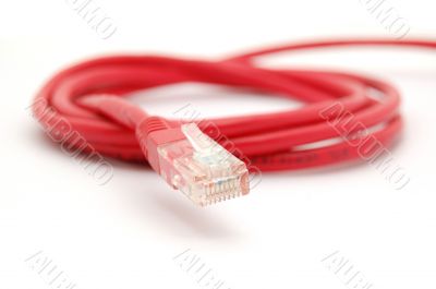 Network cable