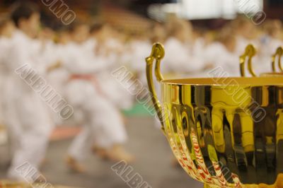 karate tournament