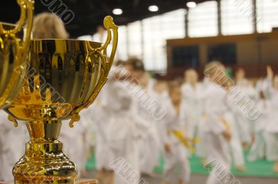 karate tournament