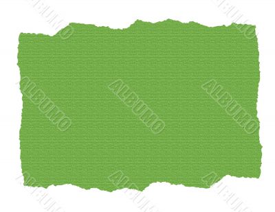 Green Textured Paper Ripped
