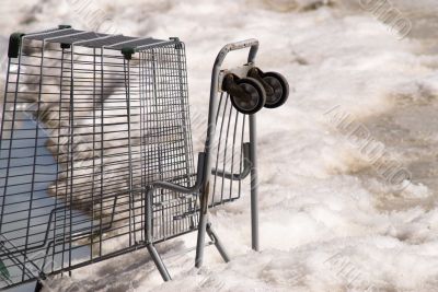 Abandoned Shopping Cart