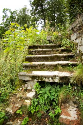 The old stone ladder surrounded with a green grass