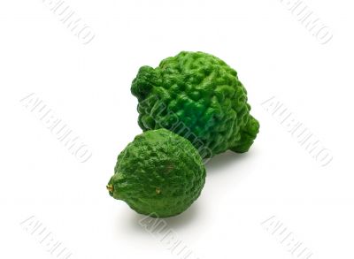 Kaffir Limes on White