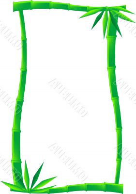 Bamboo Frame