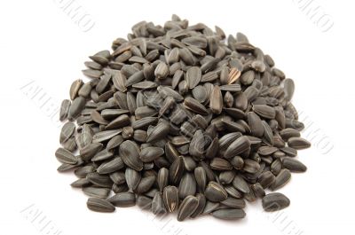 Sunflower seeds