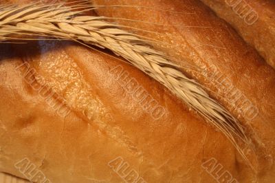 Wheat Ear On Bread