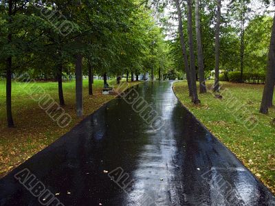 rain road