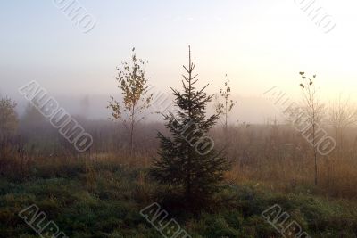 Foggy autumn morning in a village