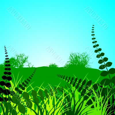 spring landscape