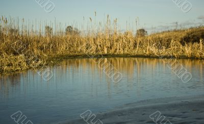 Frozen bog