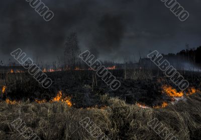 Burning bog