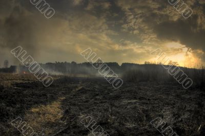Burning bog