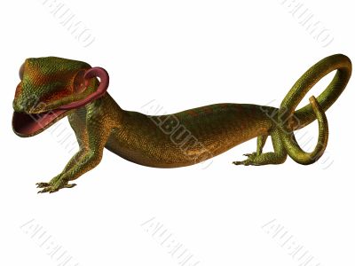 Gecko 3D