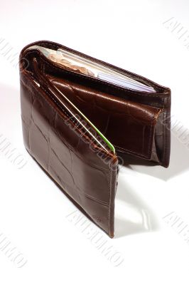 Full Wallet