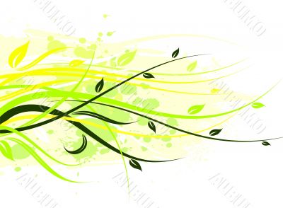 vector floral illustration
