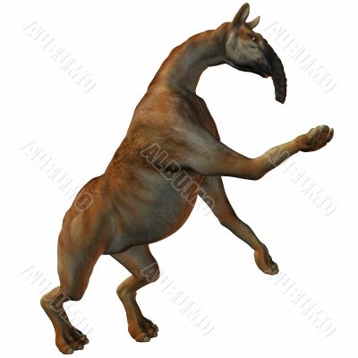 Macrauchenia patachonica