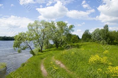 Green tree and blue skies over river Oka