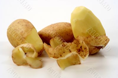 Potato isolated in White Background