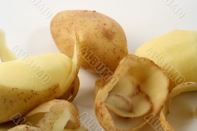 Potato isolated in White Background