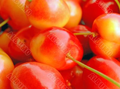 Double color cherries