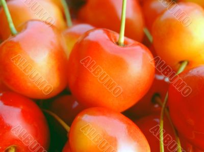 Double color cherries