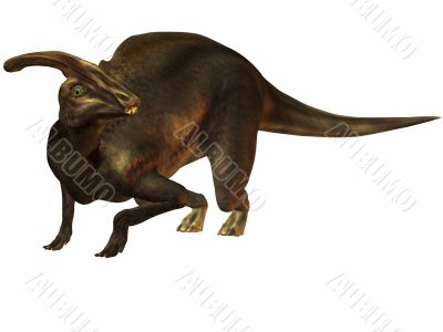 Parasaurolophus