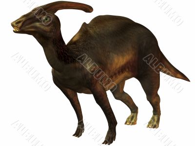 Parasaurolophus