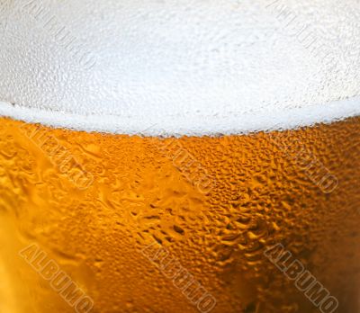 Beer Background